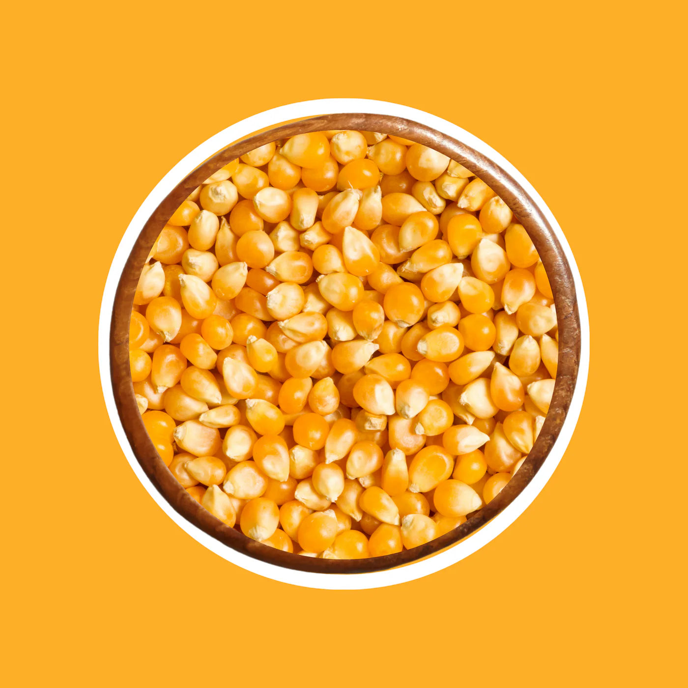 AMERICAN CORN (MAKAI)
