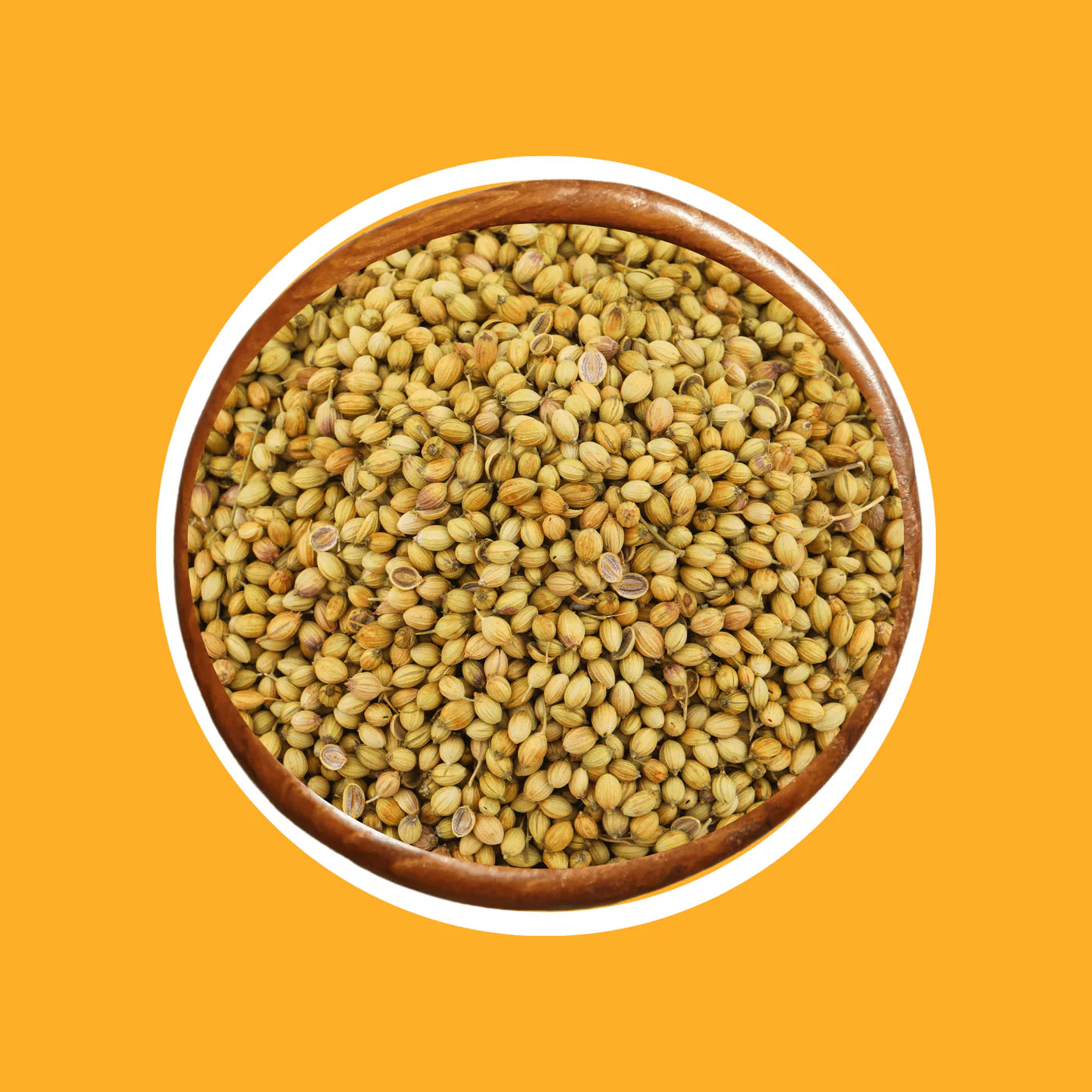 DHANIYA SABUT (Coriander Whole)